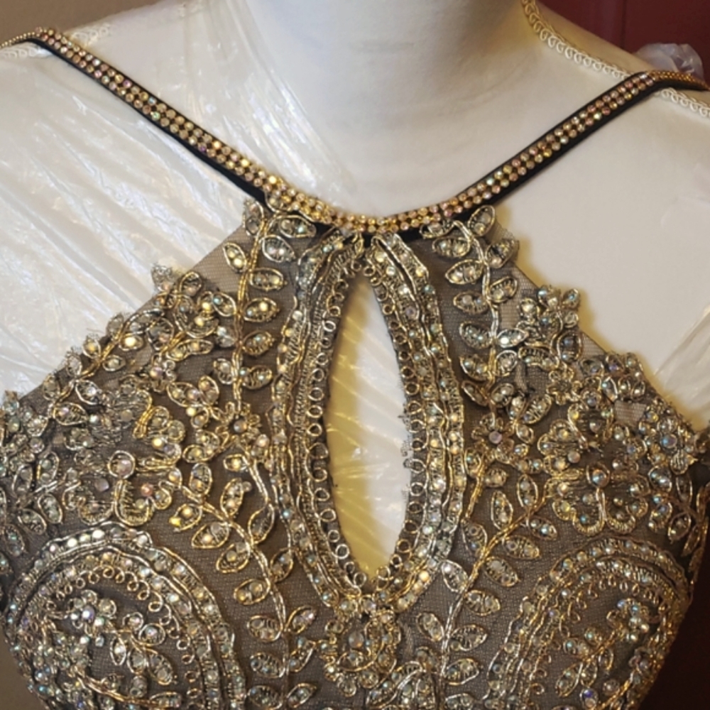 Cluster Sequin Embellished Bodice Flowy Chiffon Go - Picture 5 of 16